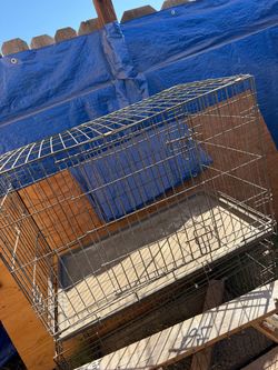 Kennel