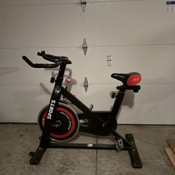 Stationary Indoor Bicycle  