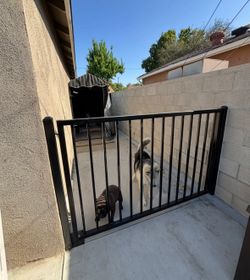 Black Gate 