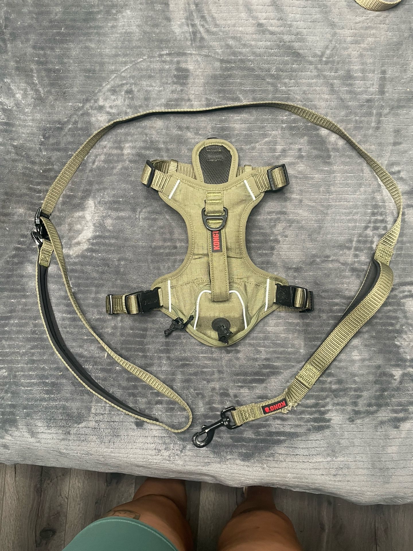 Dog Harness With Leash