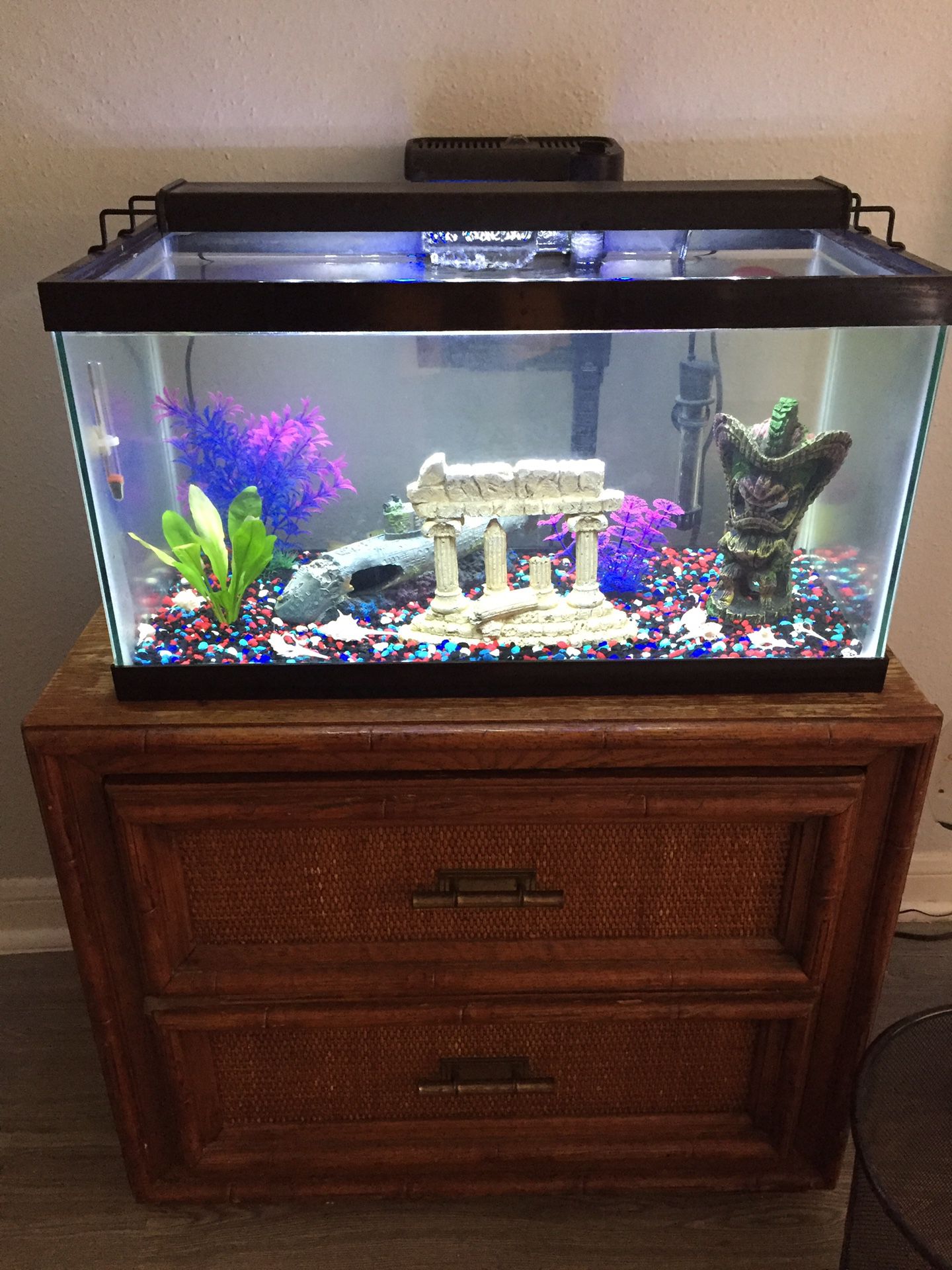 20 gal fish tank