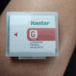 Camera battery