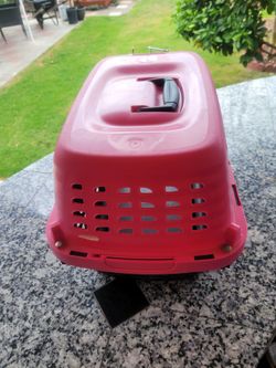 Small animal Kennel