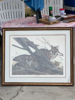 Gray Fox Family Framed Art Print