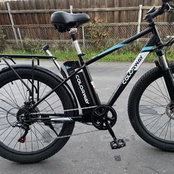 e-bike