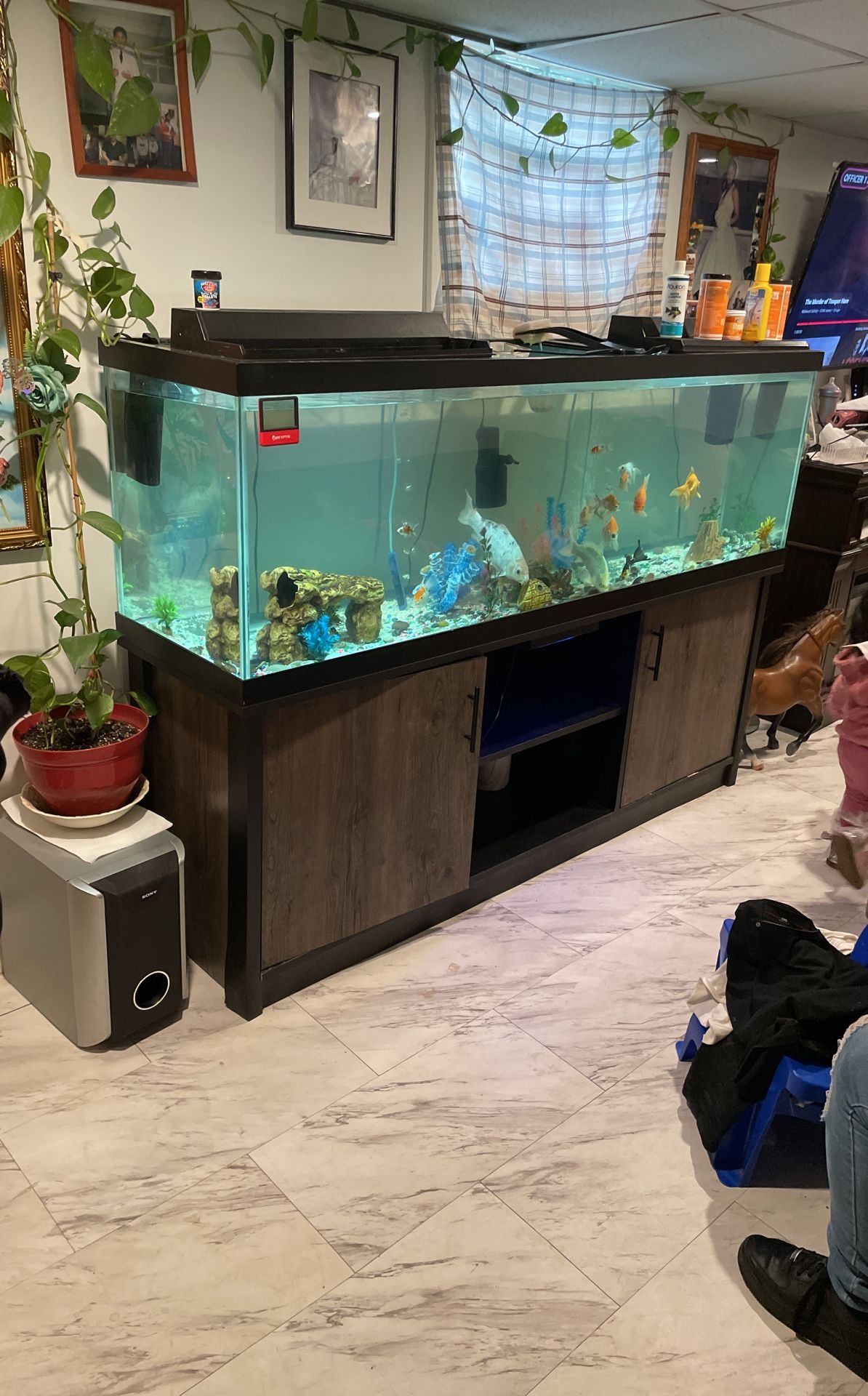 Fish Tank With Everything
