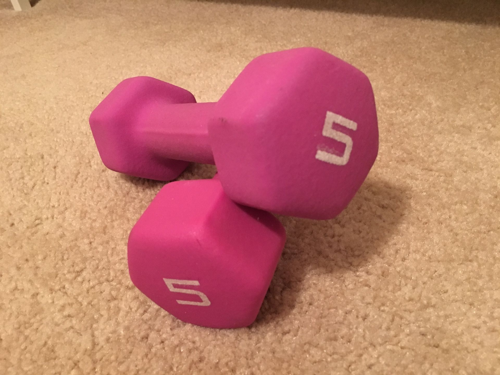 5lb weights