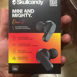 Skullcandy Earbuds 