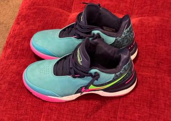 Nike Zoom LeBron NXXT Gen AMPD  South Beach