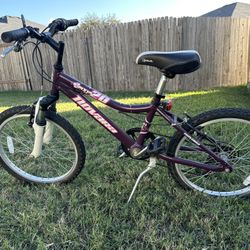 NOVARA PIXIE 20” 6-SPEED Mountain BIKE