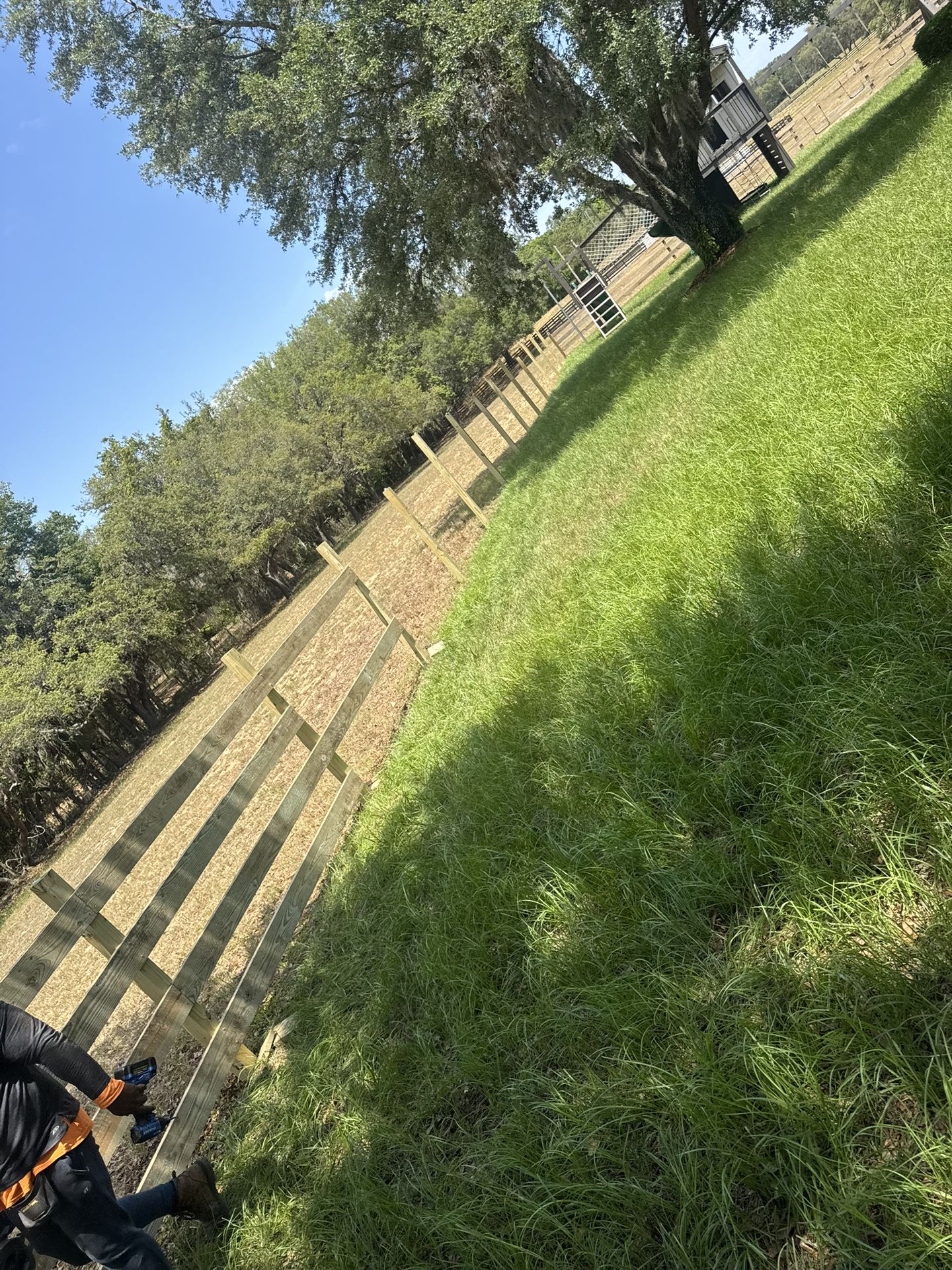 Fence 