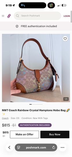 Rainbow coach hobo