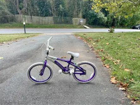 Girl Bicycle 