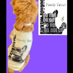 Pet Pawty Time Shirt