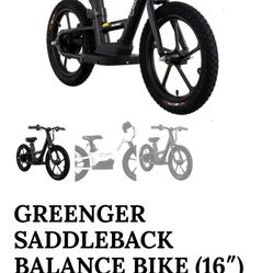 Bicicleta Electrica Para Niños 16”