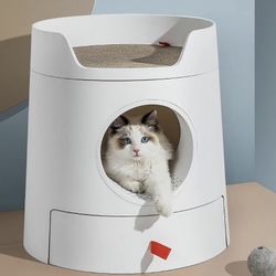 Cat Castle and Supplies