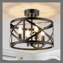 Brand New Ceiling Light 