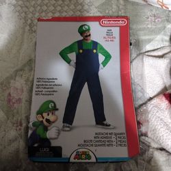 Luigi Adult Costume
