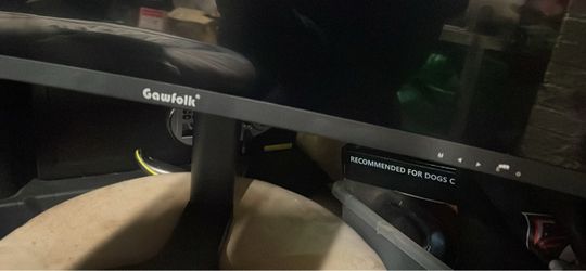 Gawfolk Curved Computer Monitor
