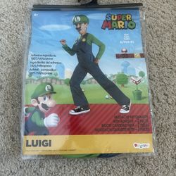 Luigi Costume For Boys 