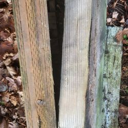 Beems Building  Header  Solid Wood