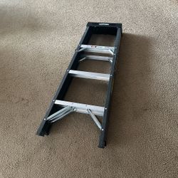 Ladder Werner 