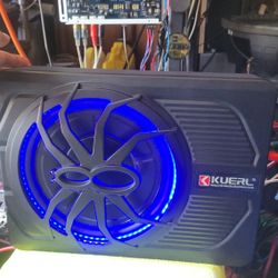 800max Under Seat Sub With Amplifier And Wiring 