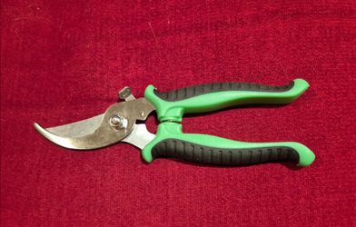 Garden Pruning Shears with Green Handles (Skokie)