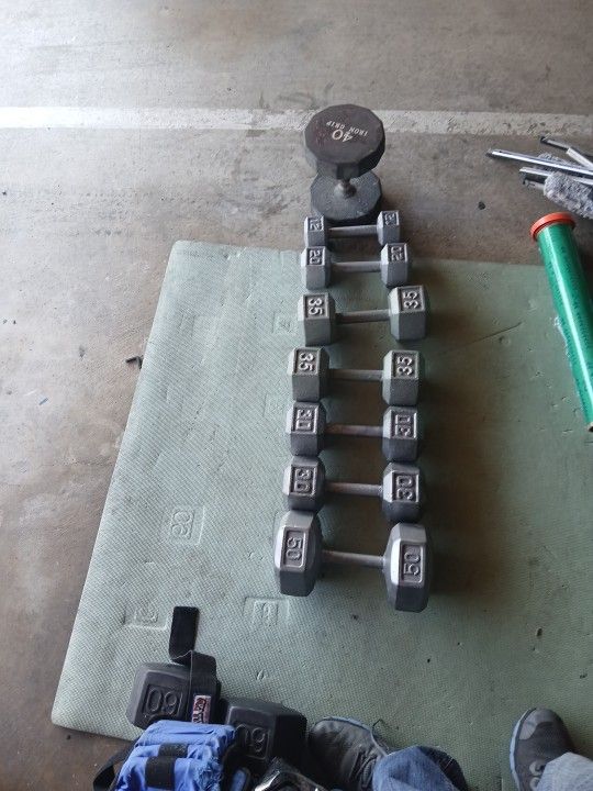 Weights 252 Lb