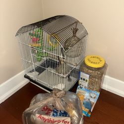 Bird Cage 