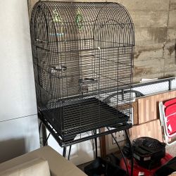 Big Bird Cage