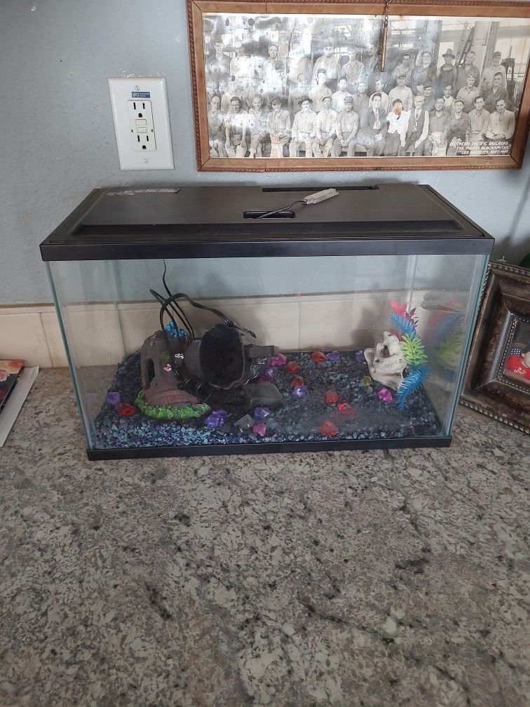 Fish Tank$40