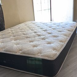 Free Mattress 