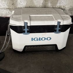 Igloo cooler