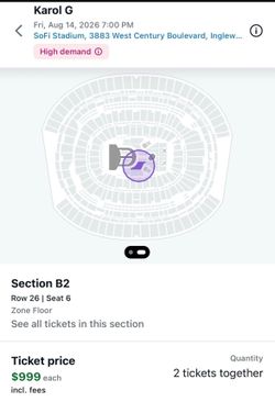 Floor seat Karol G