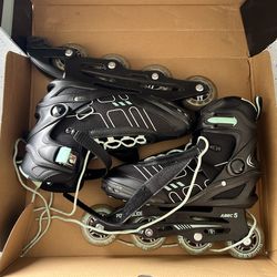 Chicago Skates Roller Blades