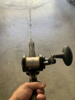 Shimano Terez/ Penn Fathom