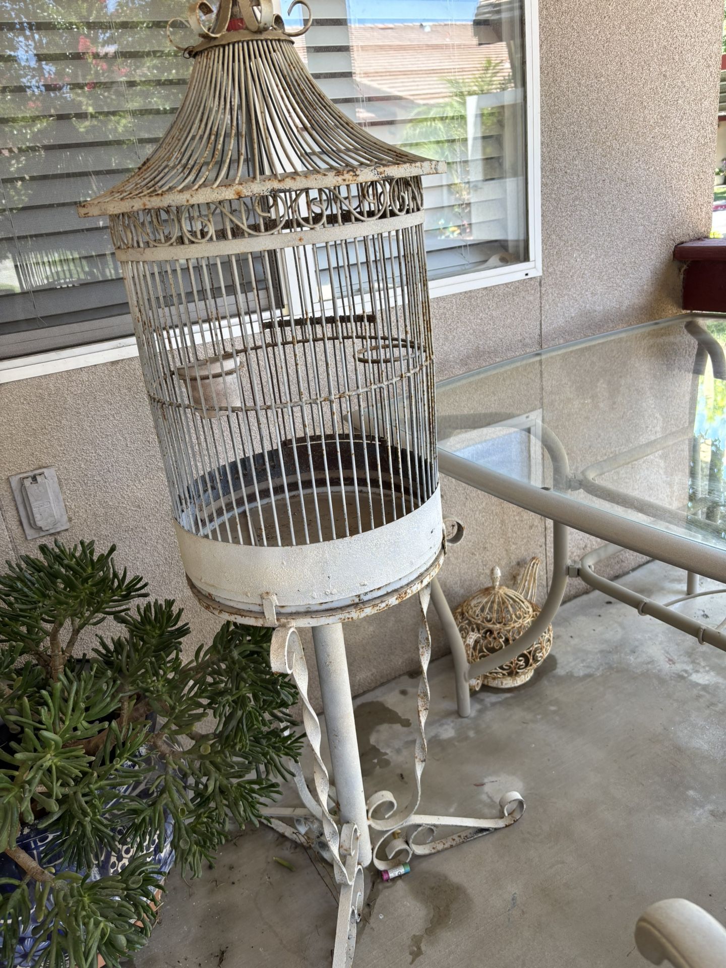 Old Bird Cage