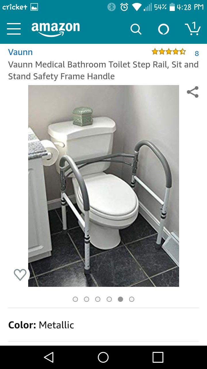Bathroom toilet step rail
