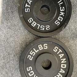 Standard Weight Training Playes 