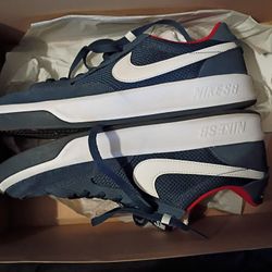 Nike SB Blue Color way. Never Used. 40$ Size 12.5