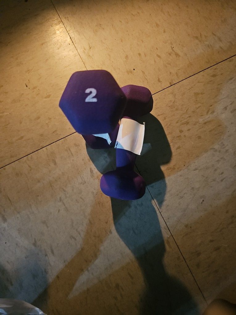 2-2 Lb Hand weights Purple