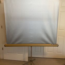 Vintage Projection Screen