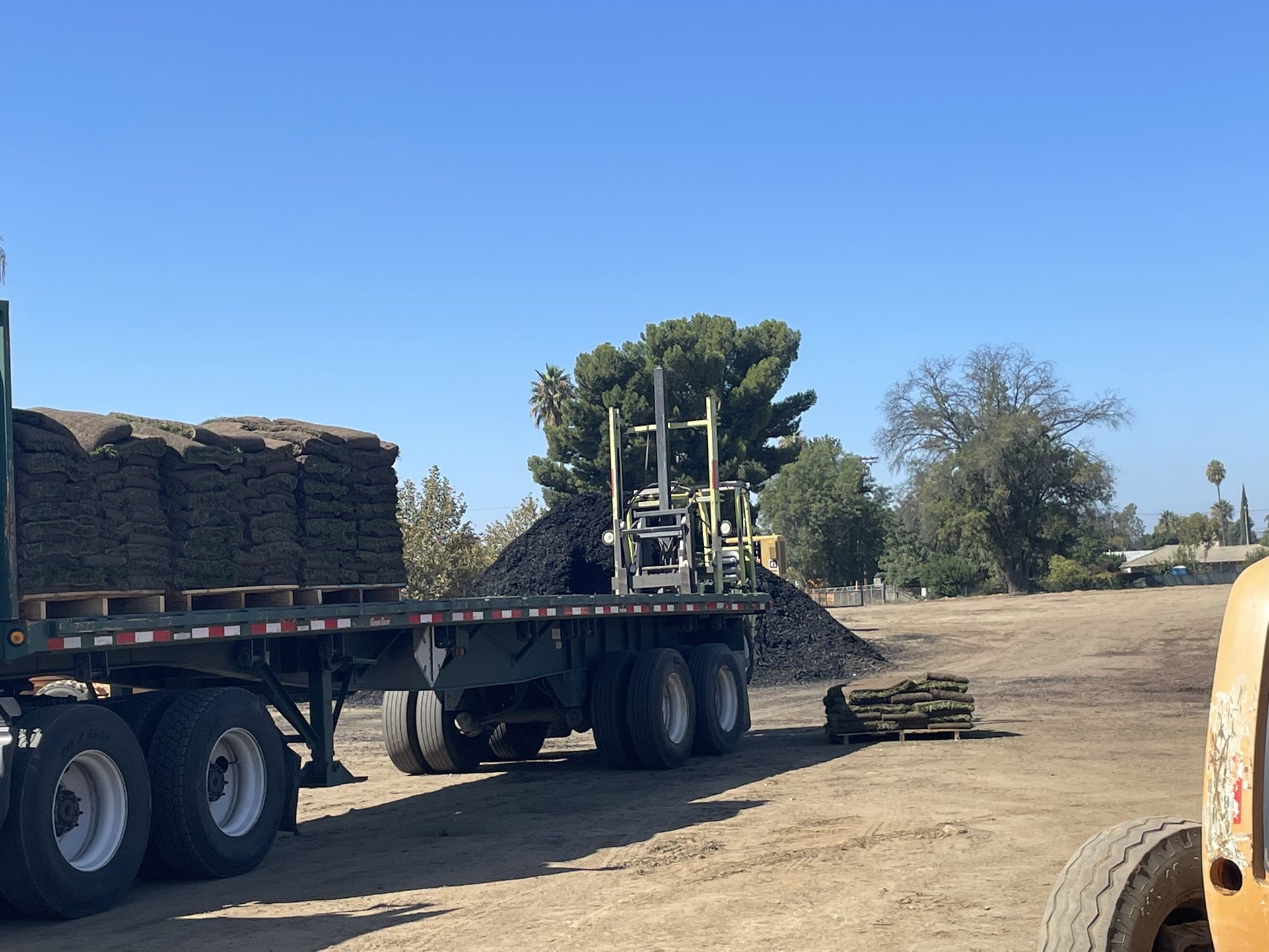 Fresh Sod $3 Per Sq/ Ft