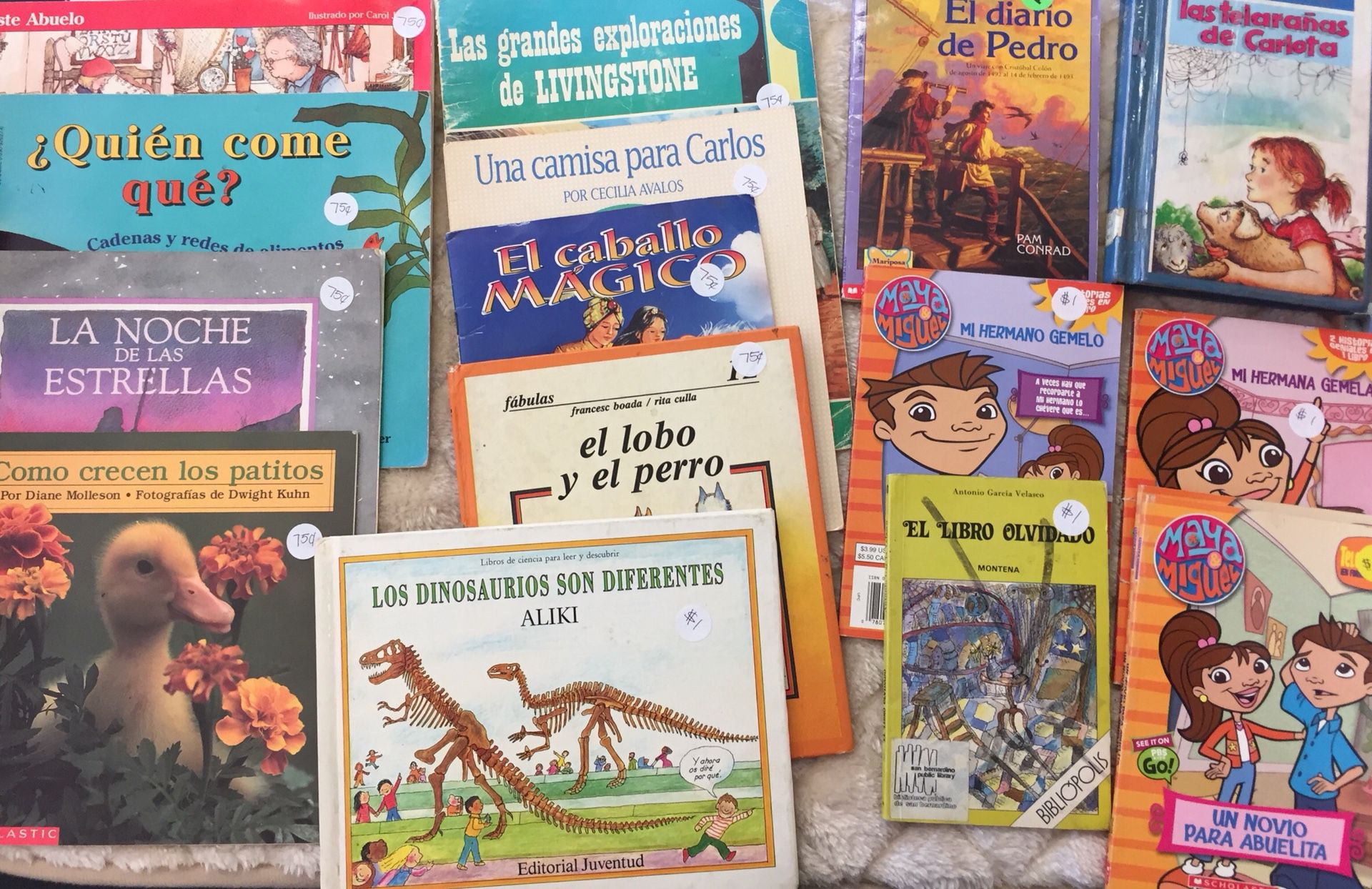 Libros en espanol para ninos
