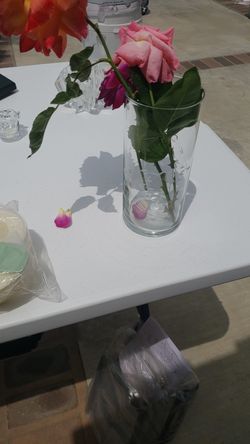 Princess house vase