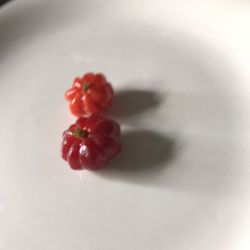 Fruiting Surinam Cherry Bush