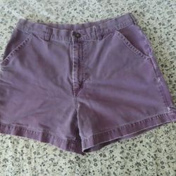 Rare Vintage Patagonia Stone Wash Grape Purple Stand Up Shorts 90s  34