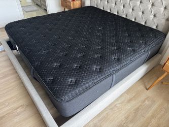 Black Beauty Mattress