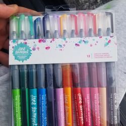 Watercolor Brush Markers Jane Davenport